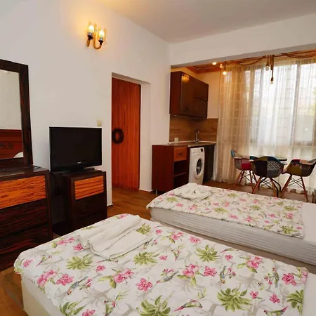 Sofia 3* 凯梅尔